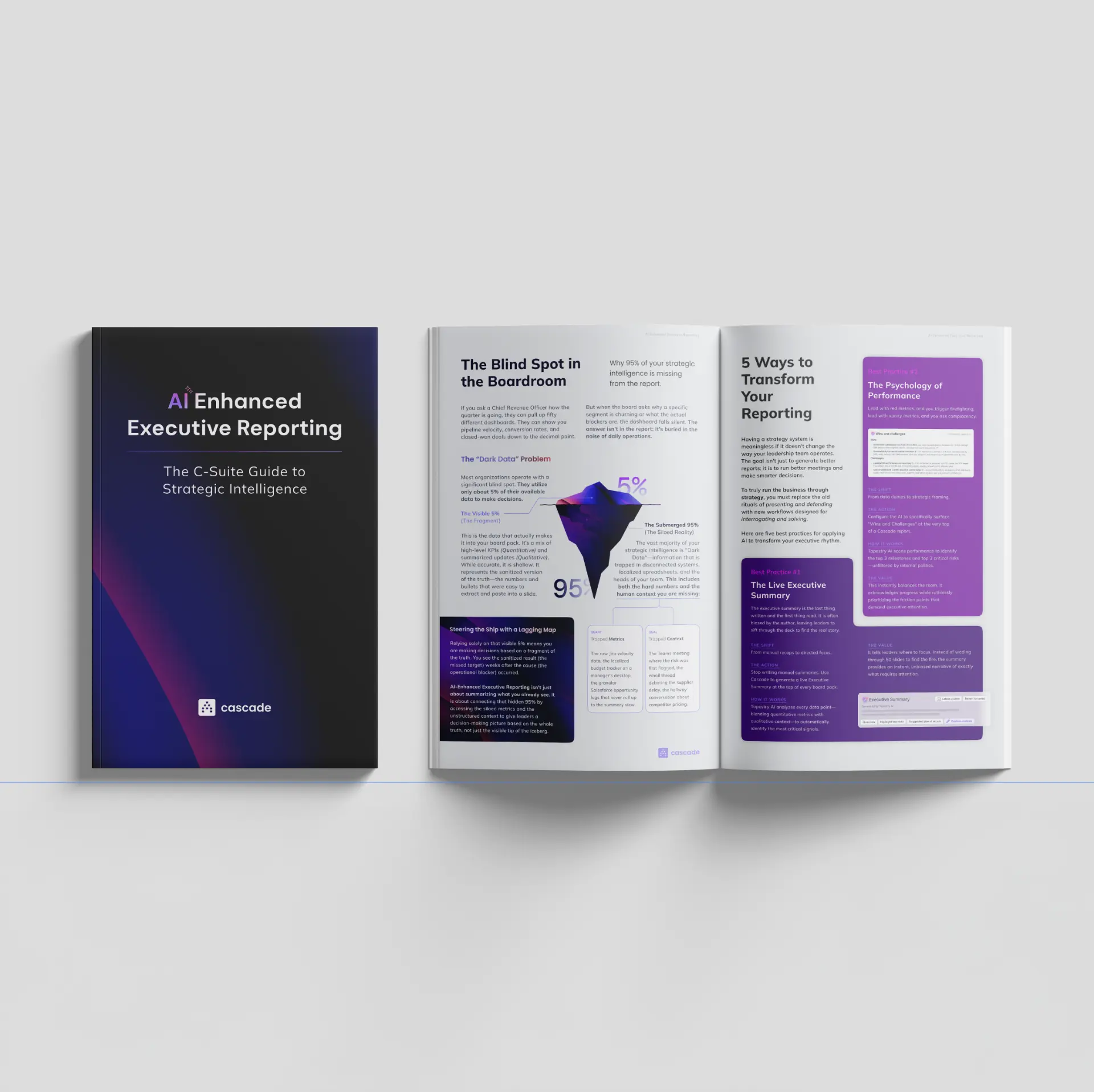 AI-Enhanced Executive Reporting · C-Suite guide