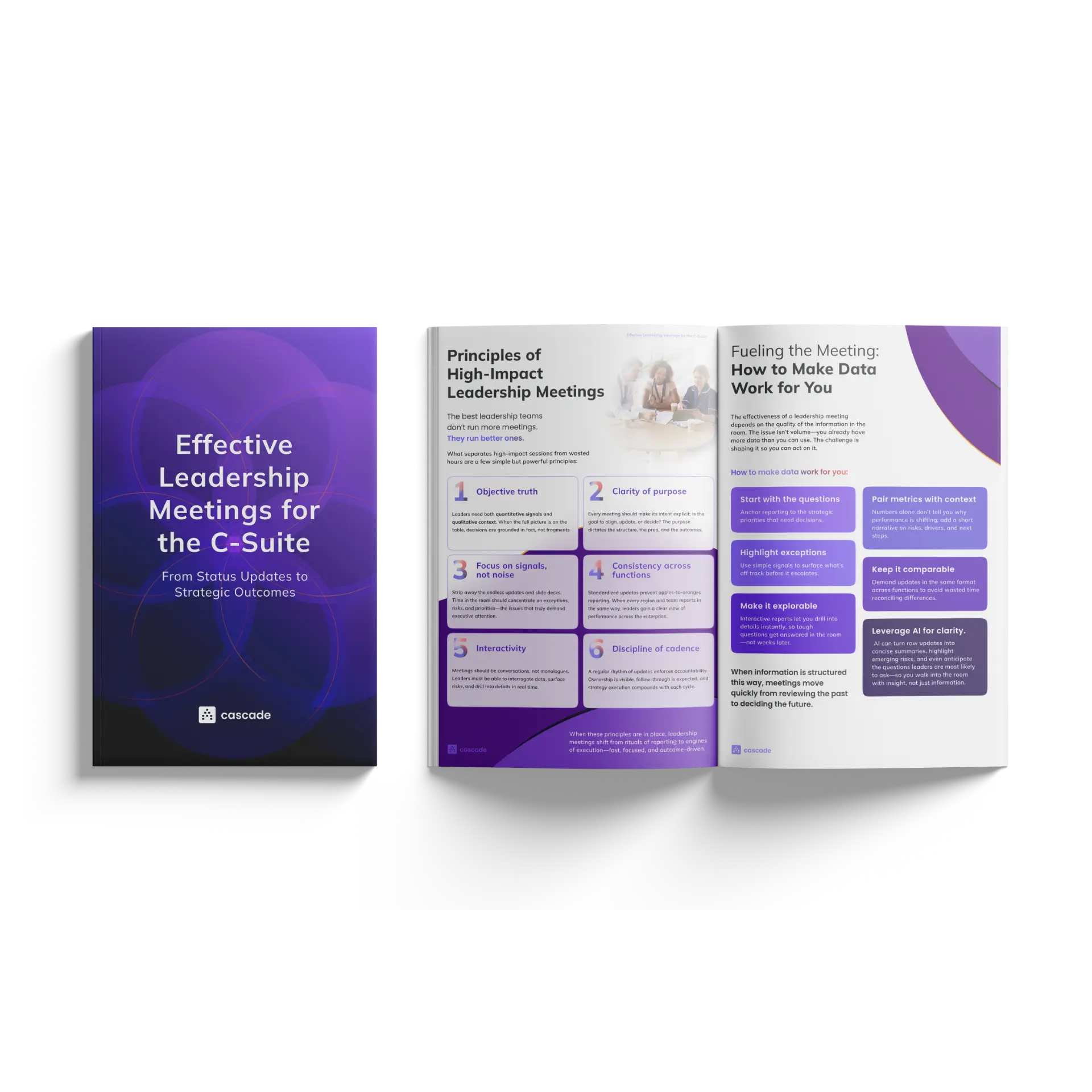 Effective Leadership Meetings for the C-Suite · report mockup